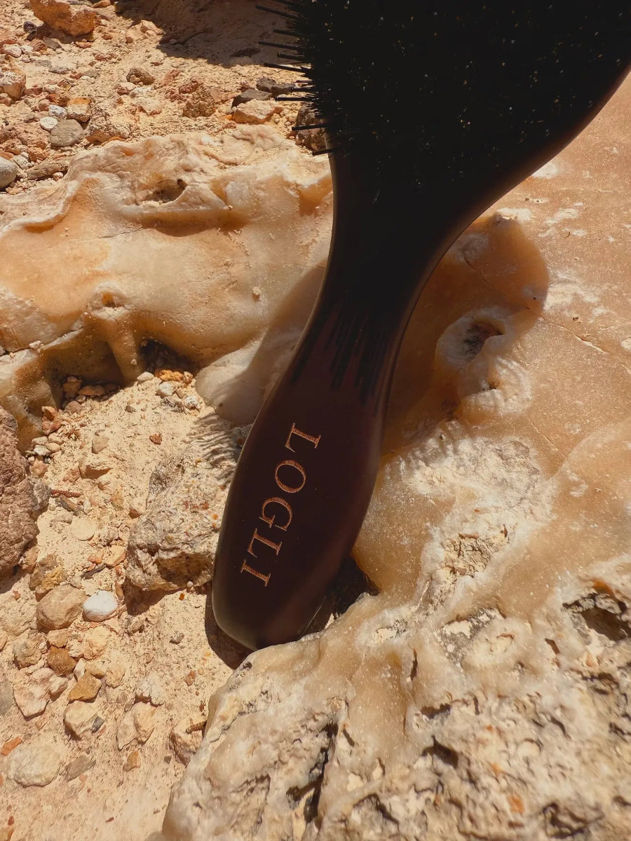 Burgundy brush with 'LOGLI' branding on a rocky background